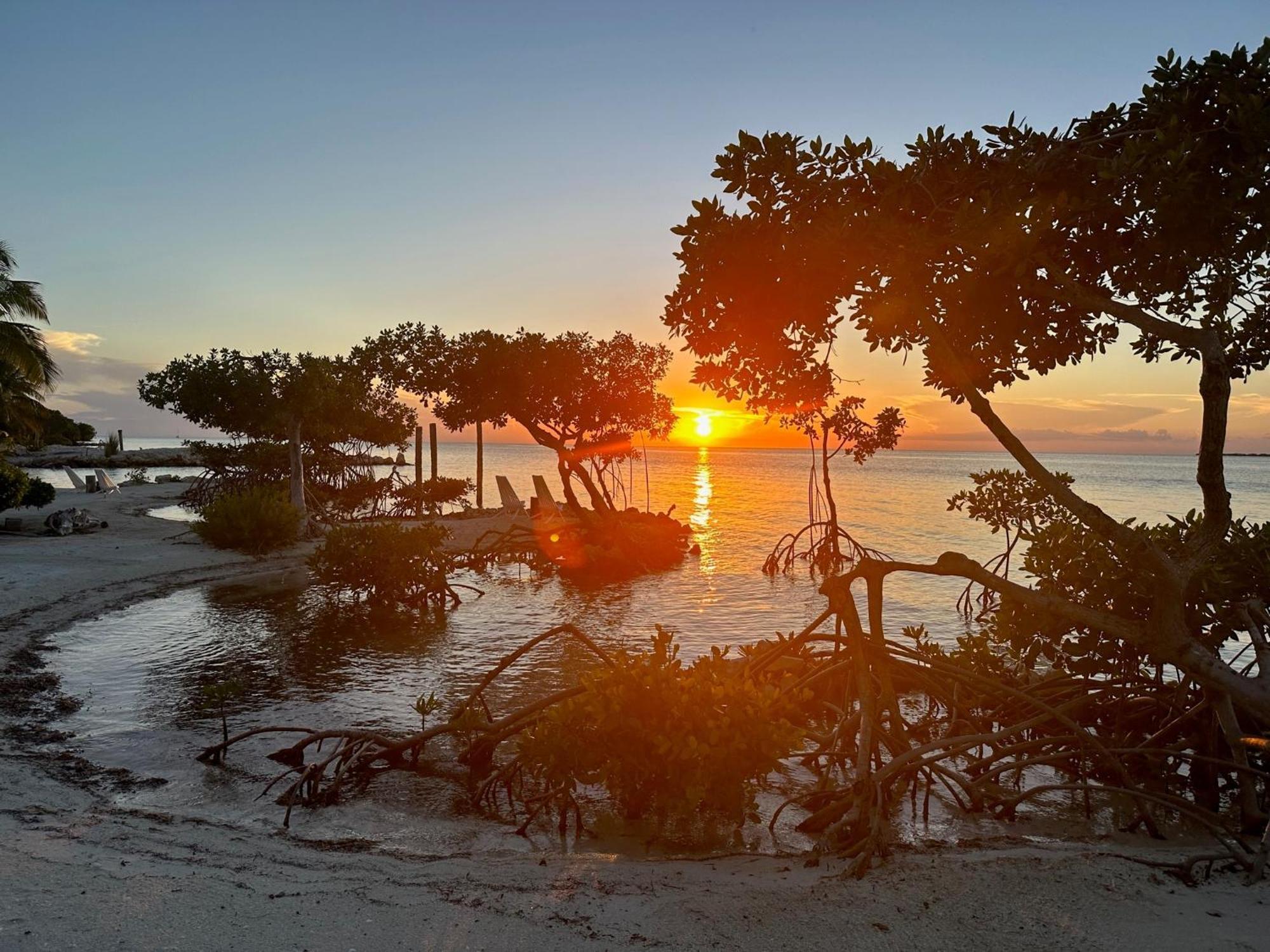 The Bounty Ξενοδοχείο Caye Caulker Εξωτερικό φωτογραφία