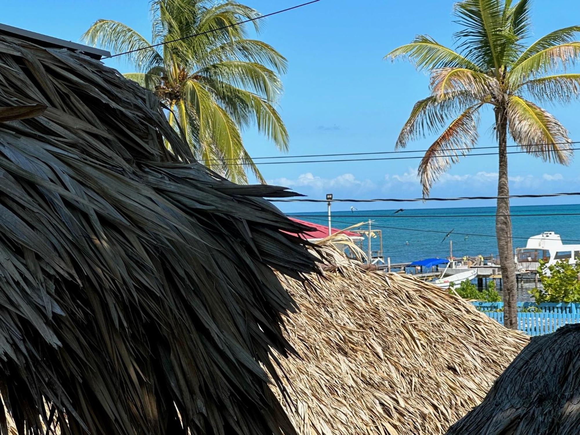 The Bounty Ξενοδοχείο Caye Caulker Εξωτερικό φωτογραφία